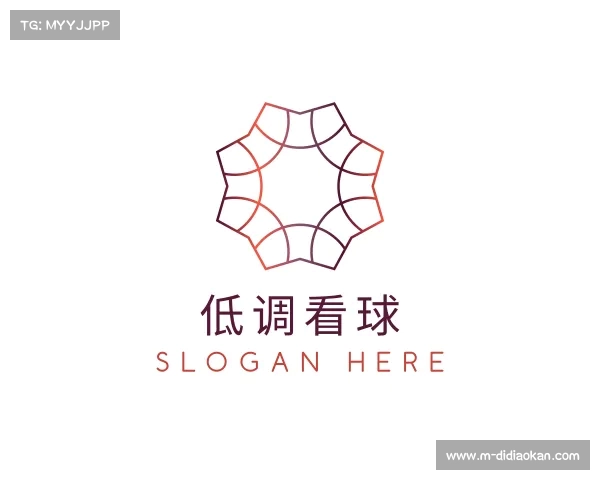 介绍低调看球